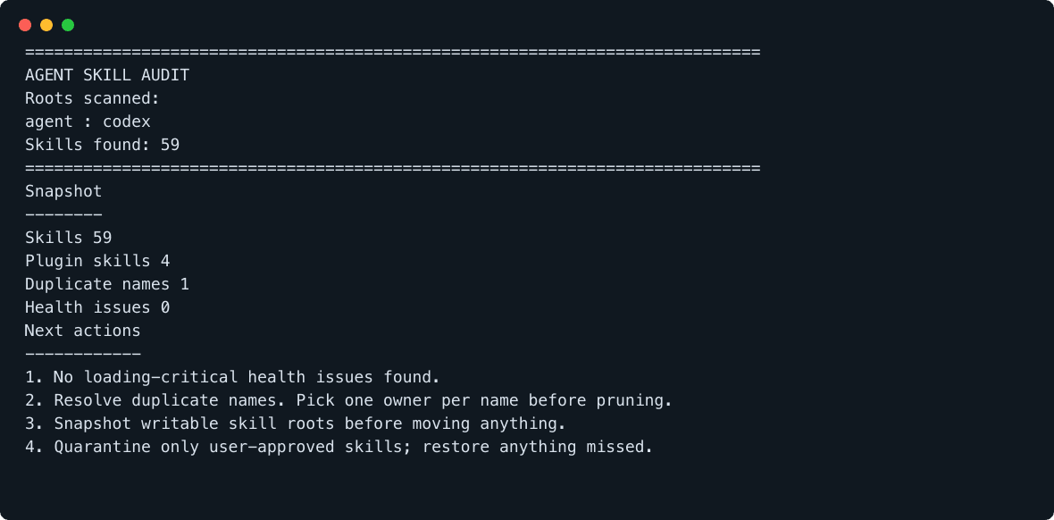 Terminal screenshot showing the focused Skill Library Pruner audit output